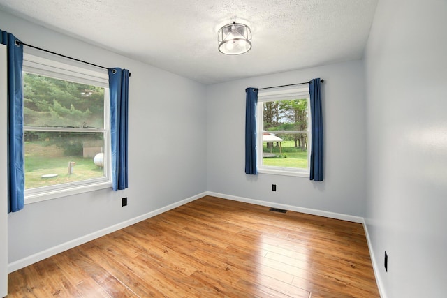 2350 155th Ave, Morley, MI 49336 - spare room featuring light wood-type flooring and a textured ceiling