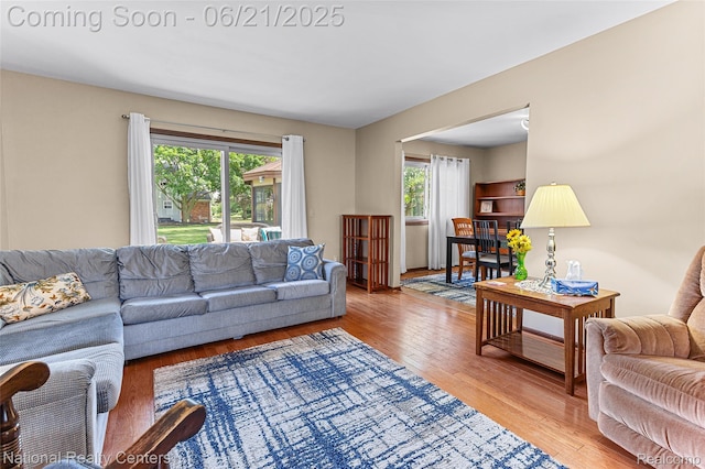 1306 Bishops Ter, Wixom, MI 48393 - living area with wood-type flooring