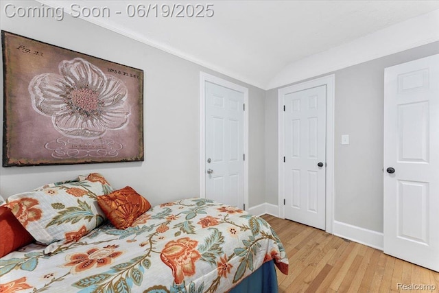 243 2nd St, Brownstown, MI 48192 - bedroom with wood finished floors and vaulted ceiling