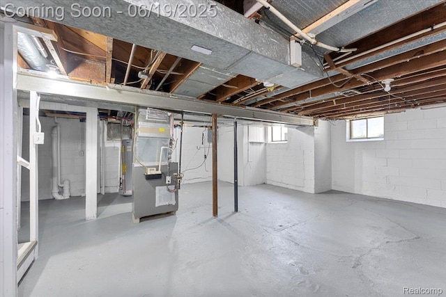 243 2nd St, Brownstown, MI 48192 - basement with heating unit and gas water heater
