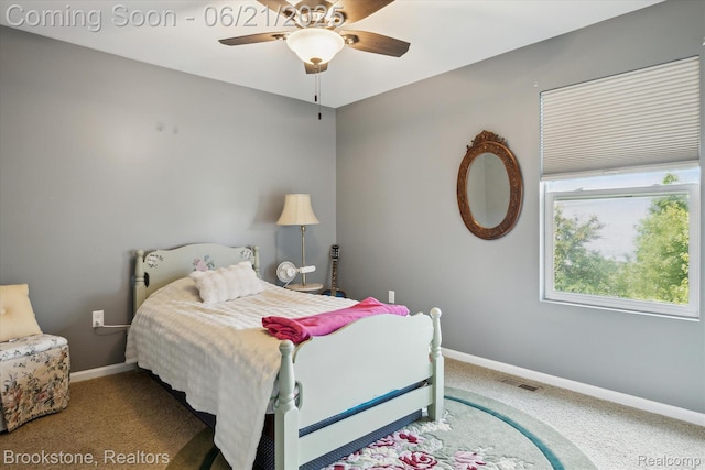 660 Park Lane Rd, Chelsea, MI 48118 - photo 21