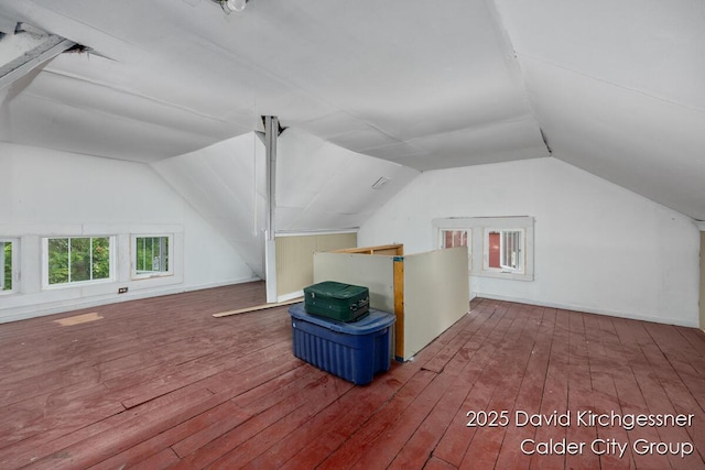 1328 Bemis St SE, Grand Rapids, MI 49506 - additional living space featuring vaulted ceiling and wood-type flooring