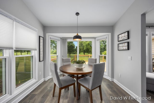 6935 Fairway Vista Dr SE, Caledonia, MI 49316 - dining area with healthy amount of natural light and dark wood-style floors