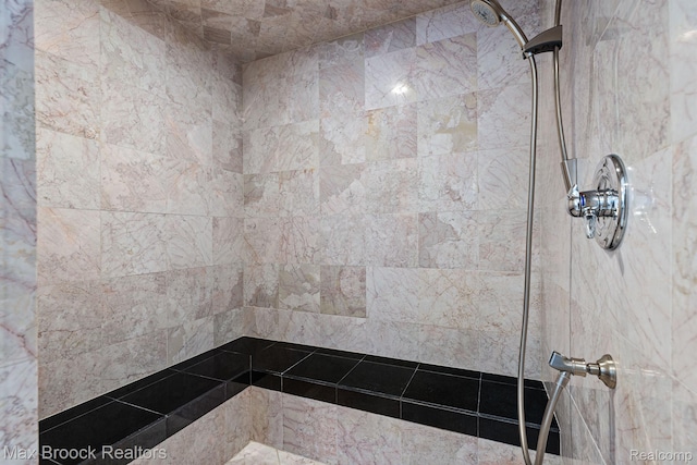 5626 Shadow Ln, Bloomfield Hills, MI 48302 - bathroom with a tile shower