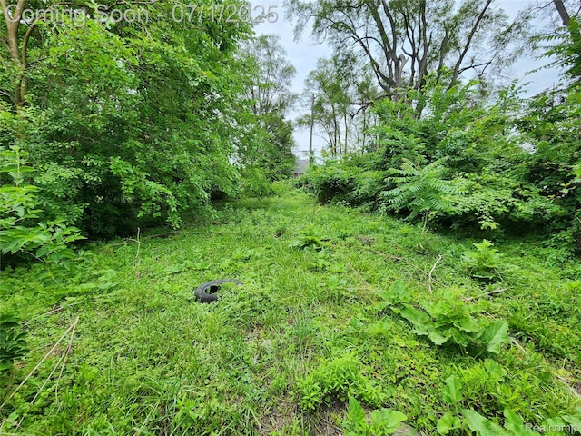 9722 E Outer Dr, Detroit, MI 48213 - photo 3