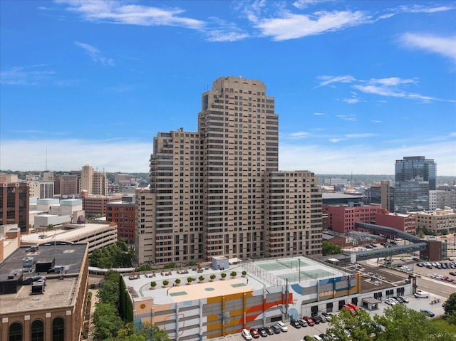 43 Campau Cir NW, Grand Rapids, MI 49503 - view of city