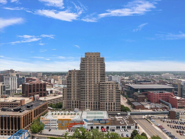 43 Campau Cir NW, Grand Rapids, MI 49503 - view of city