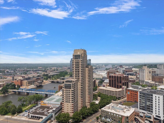 43 Campau Cir NW, Grand Rapids, MI 49503 - city view with a notable bridge and a large body of water