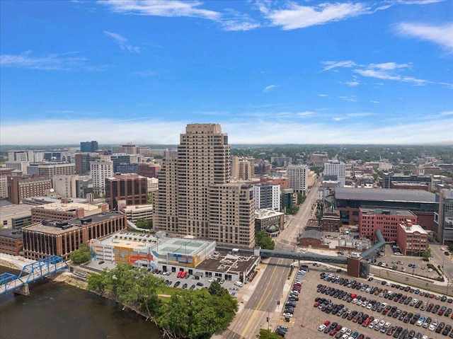 43 Campau Cir NW, Grand Rapids, MI 49503 - view of city