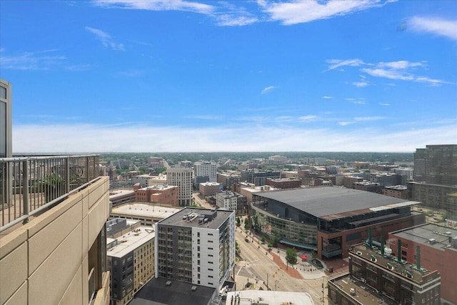 43 Campau Cir NW, Grand Rapids, MI 49503 - view of city