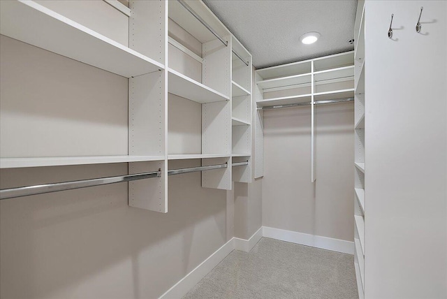43 Campau Cir NW, Grand Rapids, MI 49503 - spacious closet with light carpet