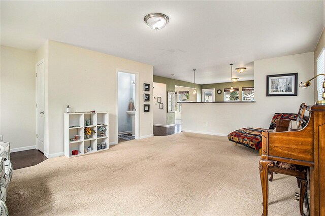 8855 Geiser Grv, Richland, MI 49083 - sitting room featuring dark colored carpet and plenty of natural light