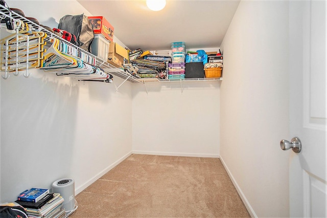 8855 Geiser Grv, Richland, MI 49083 - walk in closet featuring light carpet
