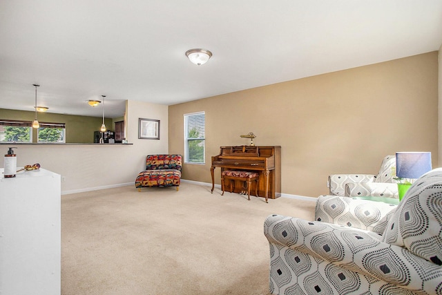 8855 Geiser Grv, Richland, MI 49083 - sitting room with carpet floors and healthy amount of natural light