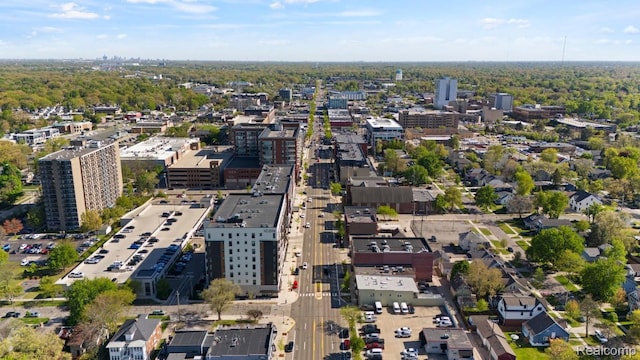 423 N Altadena Ave, Royal Oak, MI 48067 - bird's eye view