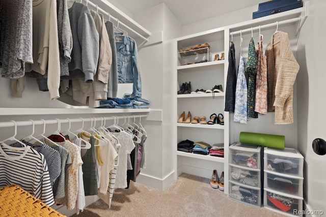 423 N Altadena Ave, Royal Oak, MI 48067 - walk in closet with carpet