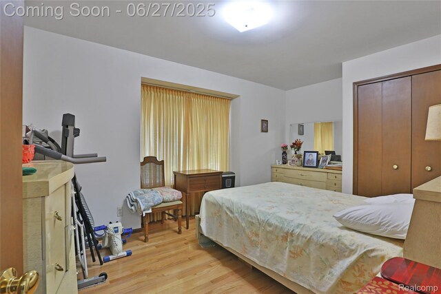 42471 Arcadia Dr, Sterling Heights, MI 48313 - bedroom featuring light wood finished floors and a closet