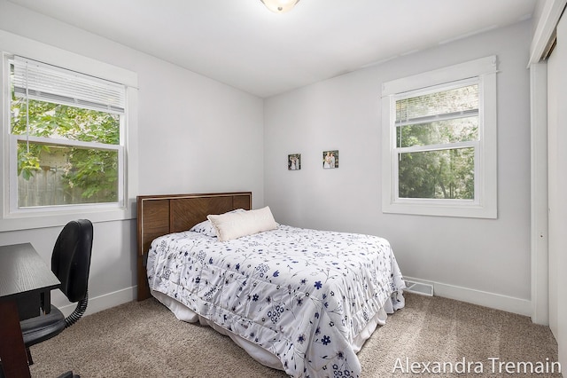 1602 4th St NW, Grand Rapids, MI 49504 - carpeted bedroom with baseboards