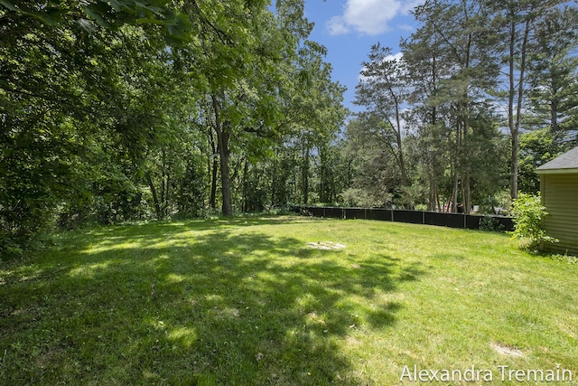 1602 4th St NW, Grand Rapids, MI 49504 - view of yard