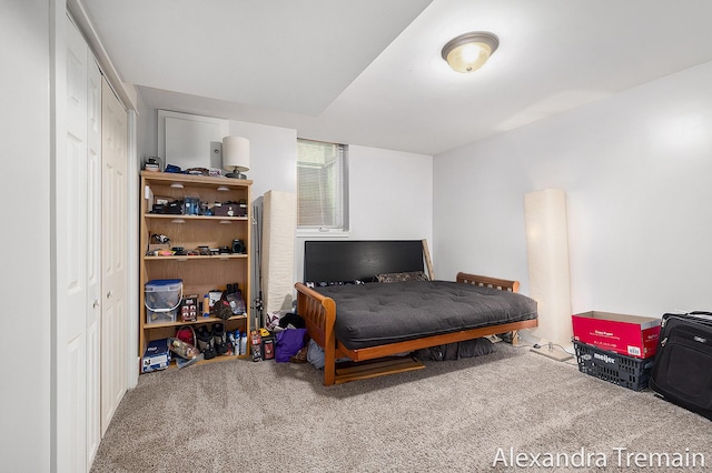 1602 4th St NW, Grand Rapids, MI 49504 - carpeted bedroom featuring a closet