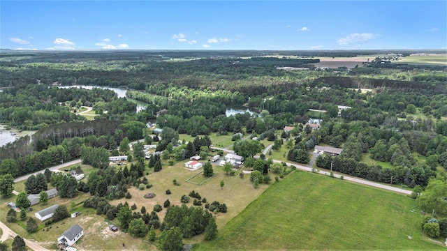 801 S 1st St, Buckley, MI 49620 - aerial view of property's location featuring a forest