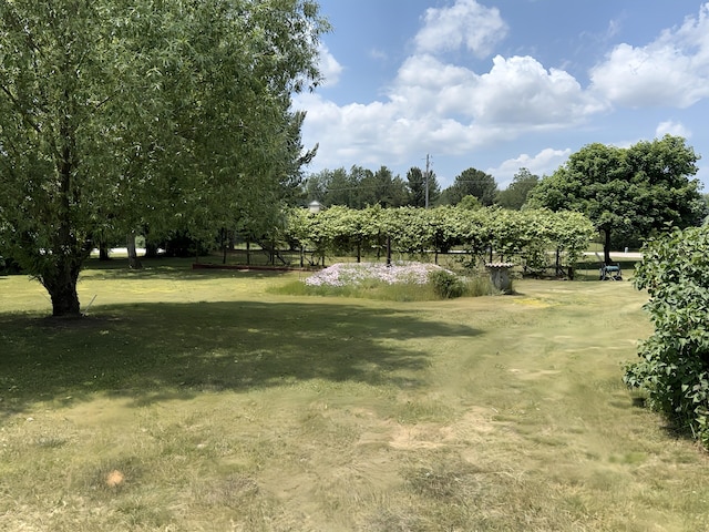801 S 1st St, Buckley, MI 49620 - view of green lawn