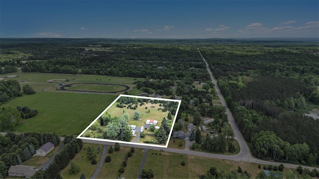 801 S 1st St, Buckley, MI 49620 - aerial view of property's location with a forest and property parcel outlined