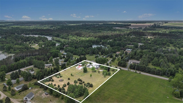 801 S 1st St, Buckley, MI 49620 - aerial overview of property's location featuring a heavily wooded area and property boundaries highlighted