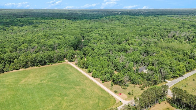 21008 Tamarack Rd, Howard City, MI 49329 - drone / aerial view of a heavily wooded area