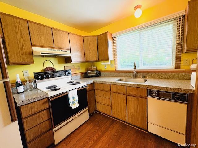 11638 Alois St, Livonia, MI 48150 - kitchen featuring white appliances, under cabinet range hood, dark wood-style floors, light countertops, and brown cabinetry