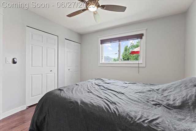 1059 Kenilworth Pl, Clawson, MI 48017 - bedroom featuring dark wood-style floors, a ceiling fan, and two closets