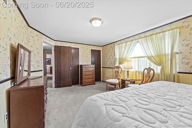 20840 Bourassa Ave, Brownstown, MI 48183 - photo 21