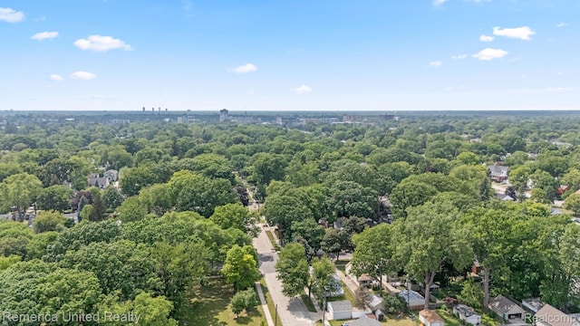 535 S Edison Ave, Royal Oak, MI 48067 - aerial view of a forest