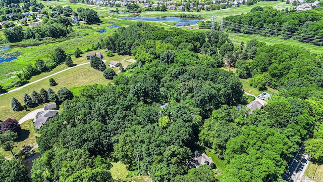 6155 Carey Rd, Commerce Twp, MI 48382 - view of property location with a large body of water