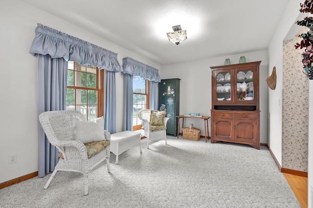 64670 Windrose Way, Lawton, MI 49065 - sitting room featuring wood finished floors and carpet floors