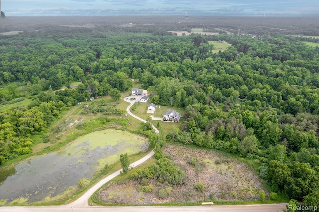 12462 Lillie Rd, Byron, MI 48418 - aerial view of a forest