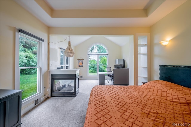 12462 Lillie Rd, Byron, MI 48418 - carpeted bedroom with a multi sided fireplace and a desk