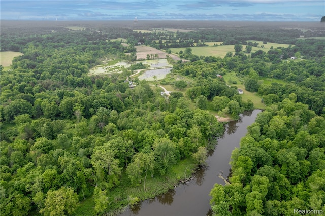 12462 Lillie Rd, Byron, MI 48418 - bird's eye view of a large body of water