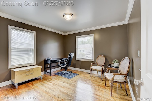 2861 Sunnyknoll Ave, Berkley, MI 48072 - office featuring ornamental molding and light wood finished floors