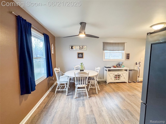 474 Argyle Cres, Milan, MI 48160 - dining area with light wood-style flooring, plenty of natural light, and a ceiling fan