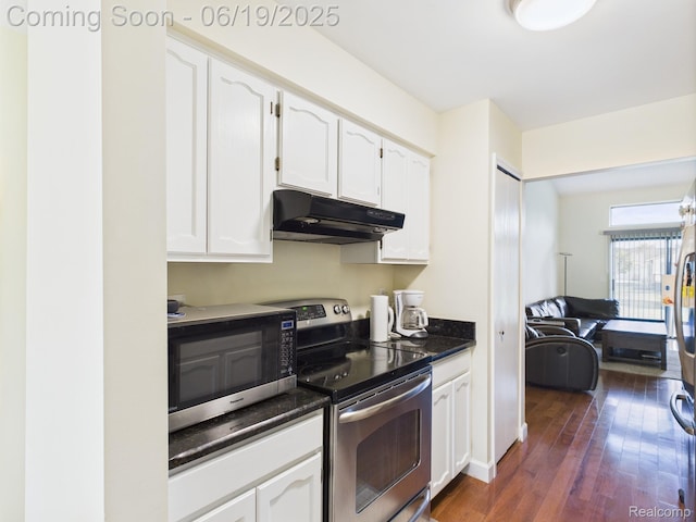 38772 Windmill Pointe N, Clinton Township, MI 48038 - kitchen featuring appliances with stainless steel finishes, under cabinet range hood, dark countertops, white cabinetry, and dark wood-type flooring
