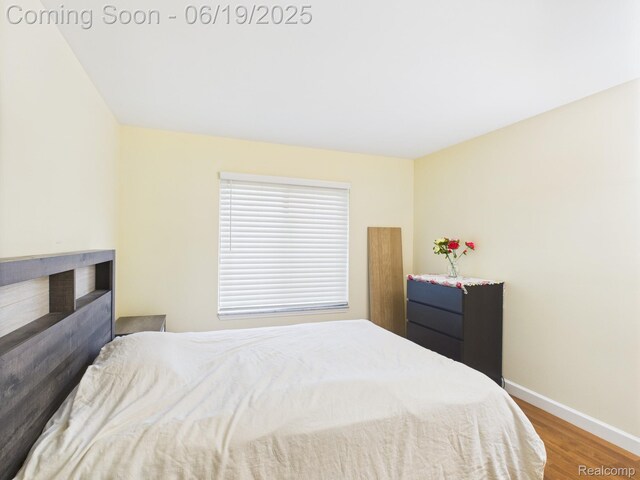 38772 Windmill Pointe N, Clinton Township, MI 48038 - bedroom featuring wood finished floors and baseboards