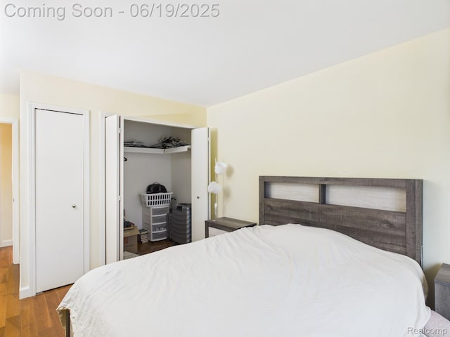 38772 Windmill Pointe N, Clinton Township, MI 48038 - bedroom with wood finished floors