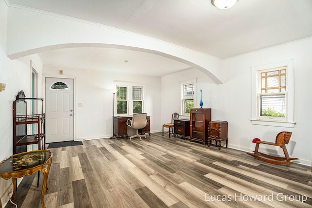 1124 Kusterer Dr NW, Grand Rapids, MI 49534 - foyer featuring arched walkways, light wood-type flooring, healthy amount of natural light, and crown molding