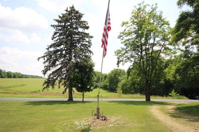 14585 E V Ave, Fulton, MI 49052 - view of property's community featuring a yard
