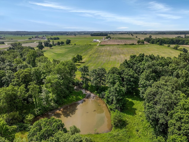7280 Austin Rd, Saline, MI 48176 - view of rural area featuring a large body of water