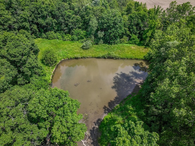 7280 Austin Rd, Saline, MI 48176 - view of property location featuring a large body of water