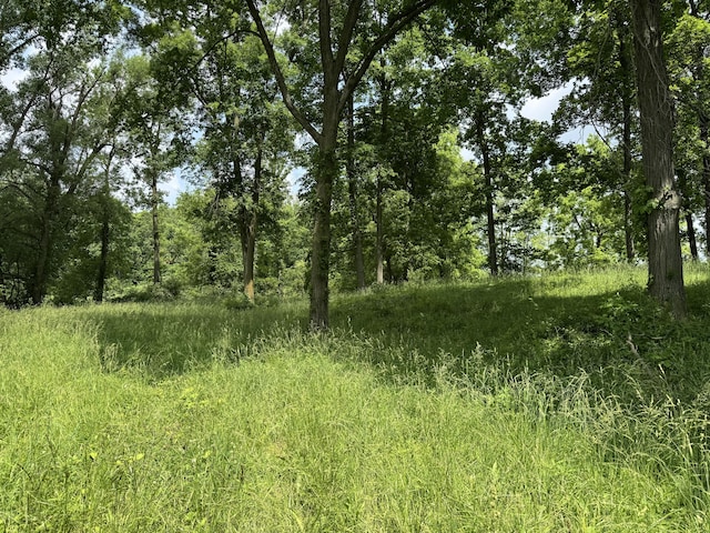 7280 Austin Rd, Saline, MI 48176 - view of nature