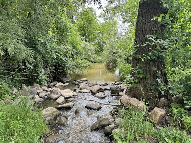 7280 Austin Rd, Saline, MI 48176 - view of nature