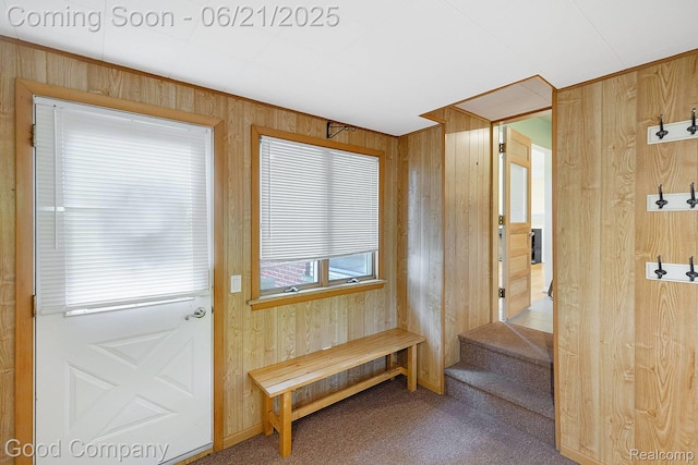 3603 Dukeshire Hwy, Royal Oak, MI 48073 - doorway featuring wooden walls, carpet flooring, and stairway